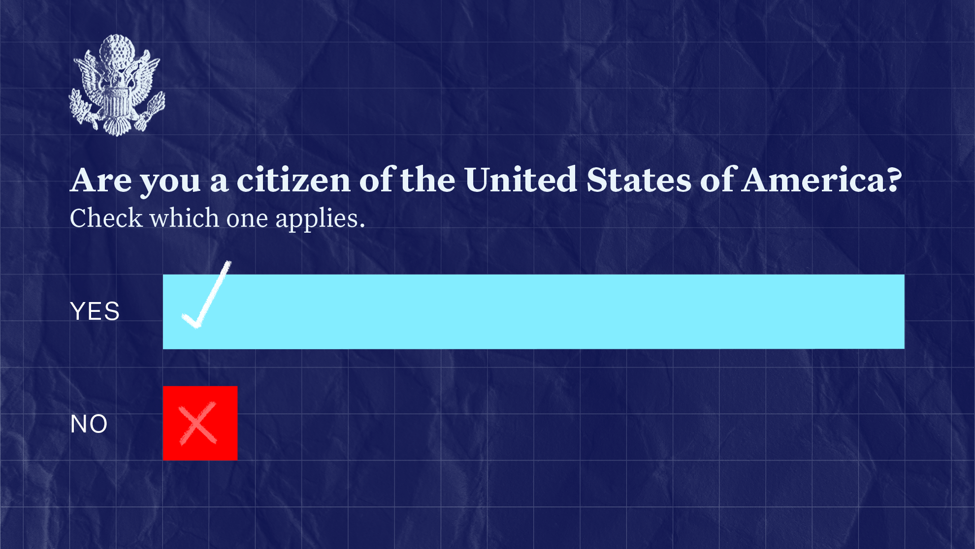 noncitizen voting 2024 anim 1.png