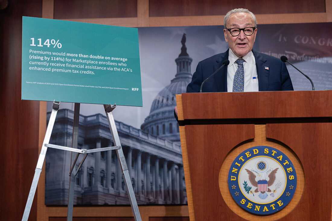 Senate Minority Leader Chuck Schumer, D-N.Y., speaks at a press conference.
