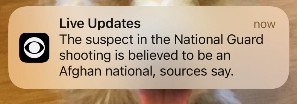 590105505 10164614784550961 2876391322278415447 n.jpg