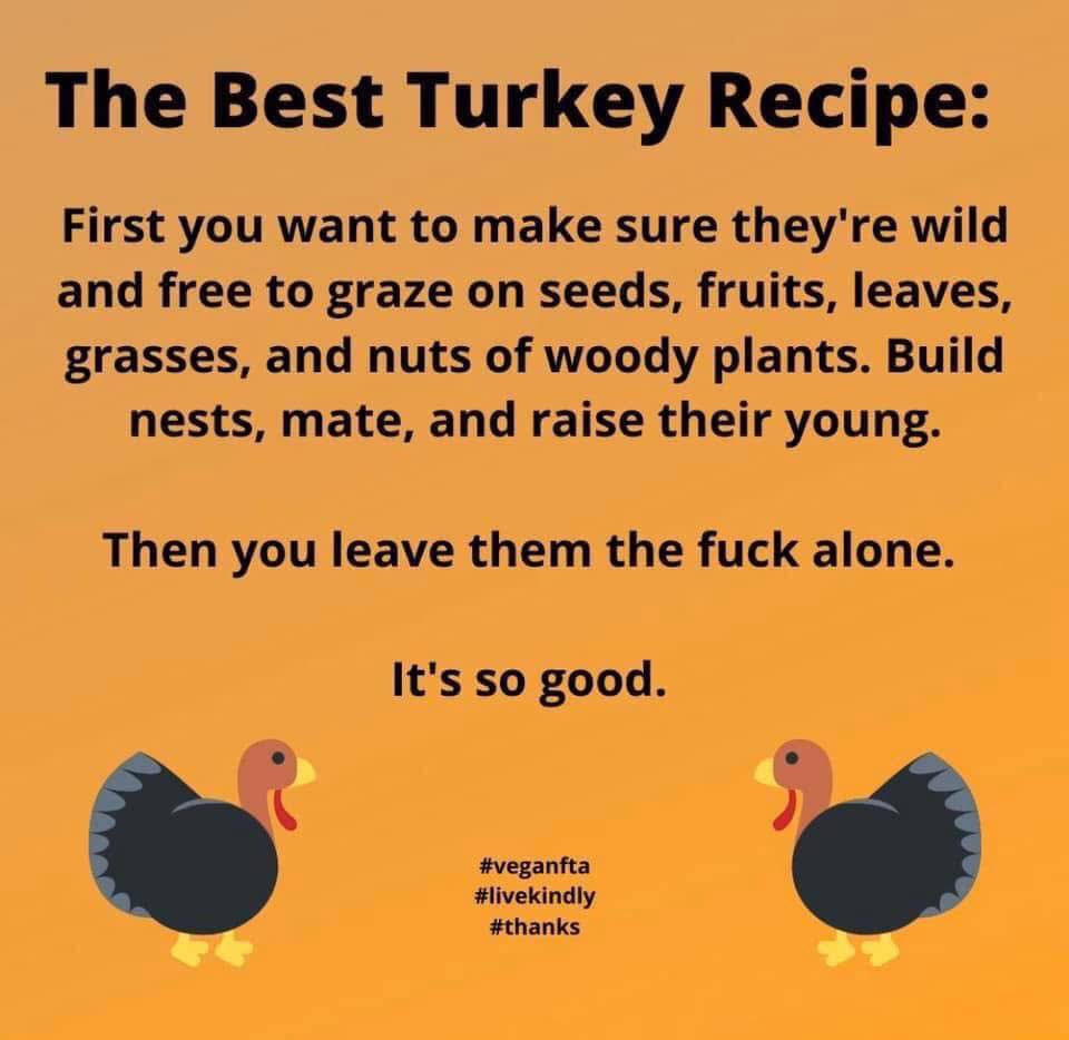 591495570 10224796790382188 7985859871623540566 n.jpg