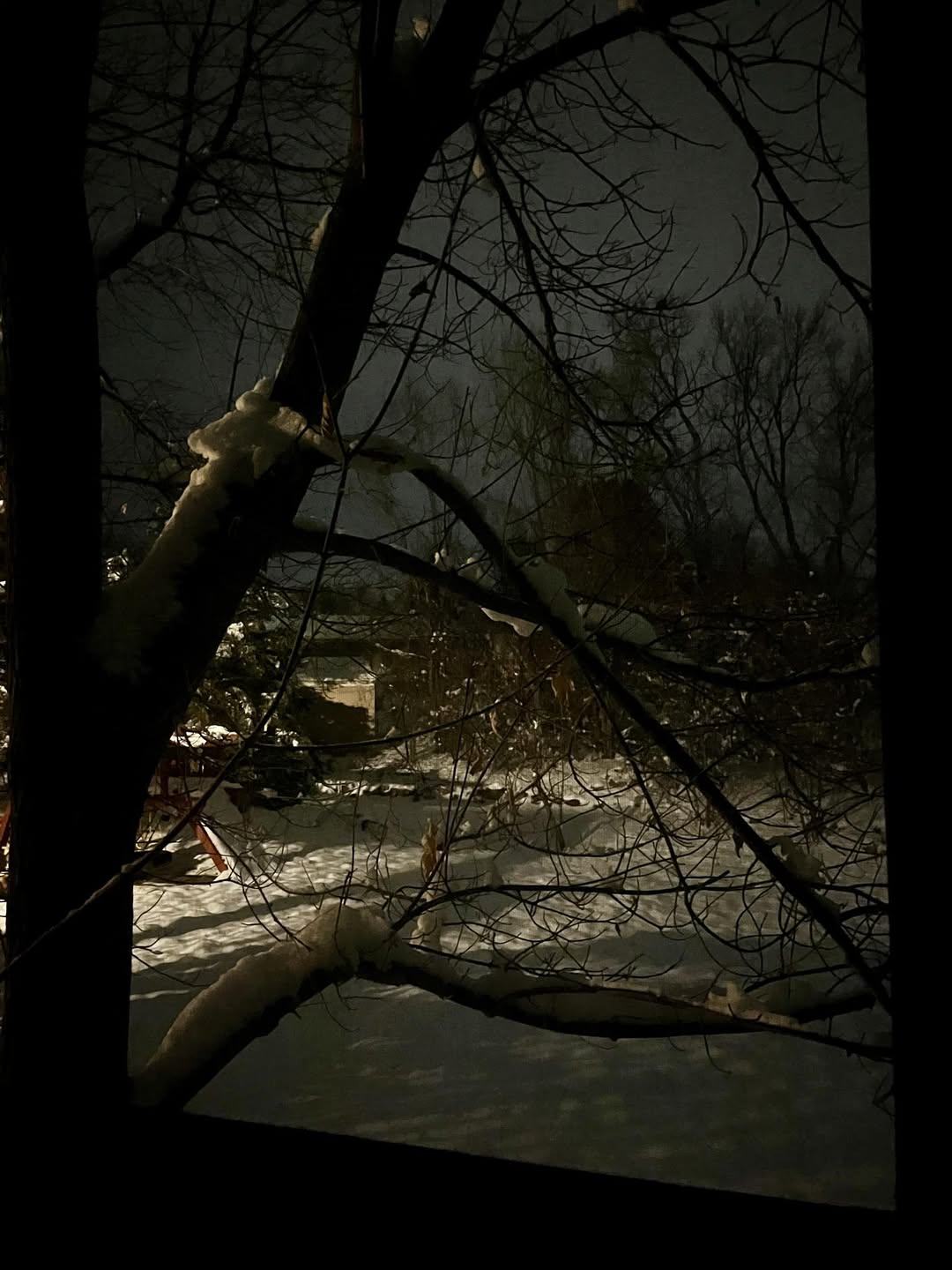 594077811 10164654871155961 5985510727790450253 n.jpg