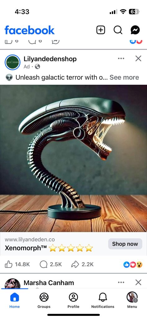 595116577 10164660357385961 5567601257020798266 n.jpg