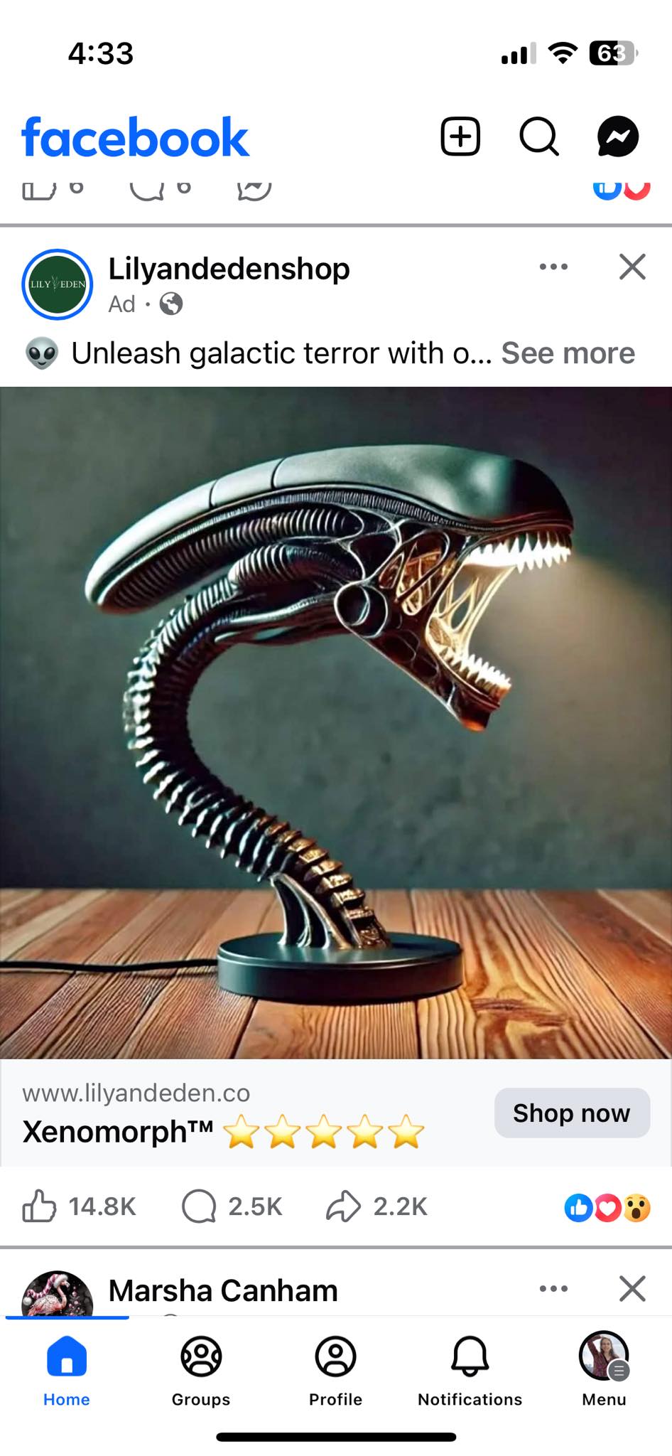 595116577 10164660357385961 5567601257020798266 n.jpg