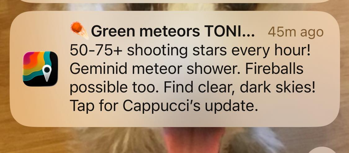 599763113 10164694731310961 6102462038189309036 n.jpg