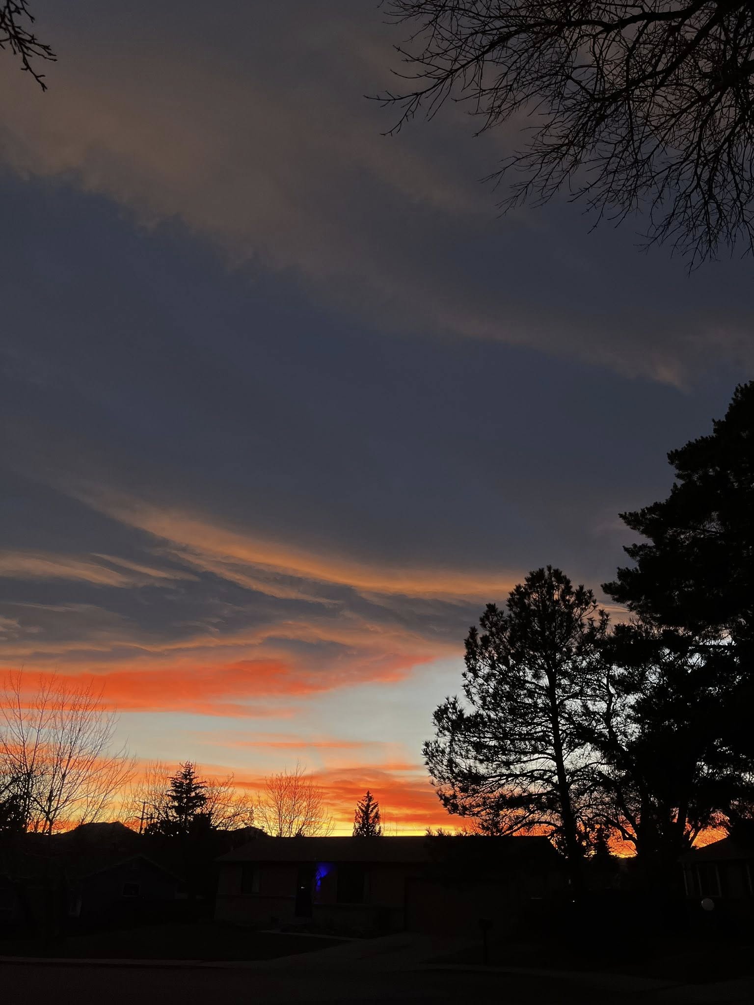 599951240 10164690864190961 3347620595089078356 n.jpg