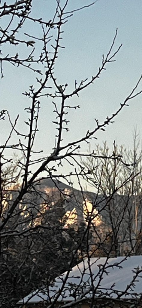 1768834984 616988335 10164865779550961 4394256488729911574 n.jpg