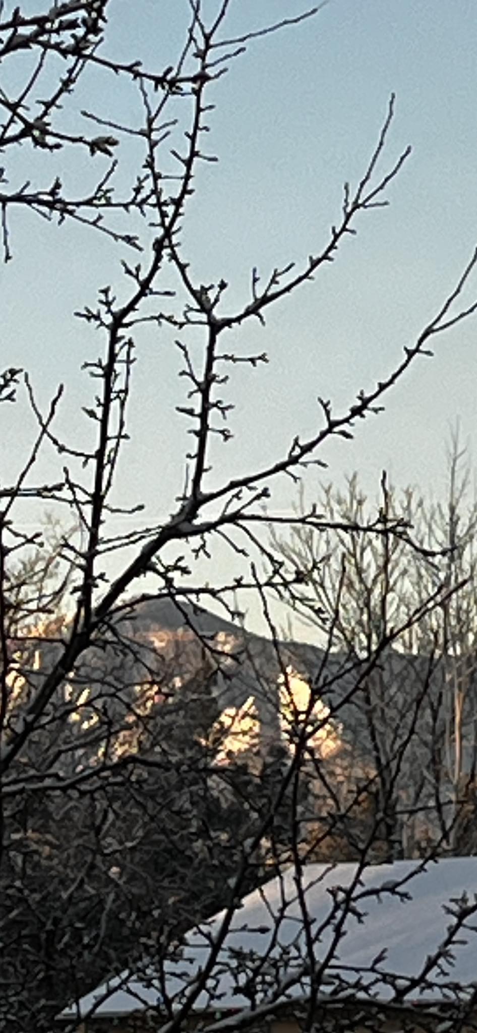 1768834984 616988335 10164865779550961 4394256488729911574 n.jpg