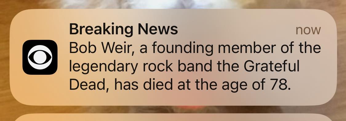 613509712 10164826554745961 5228069749838984376 n.jpg