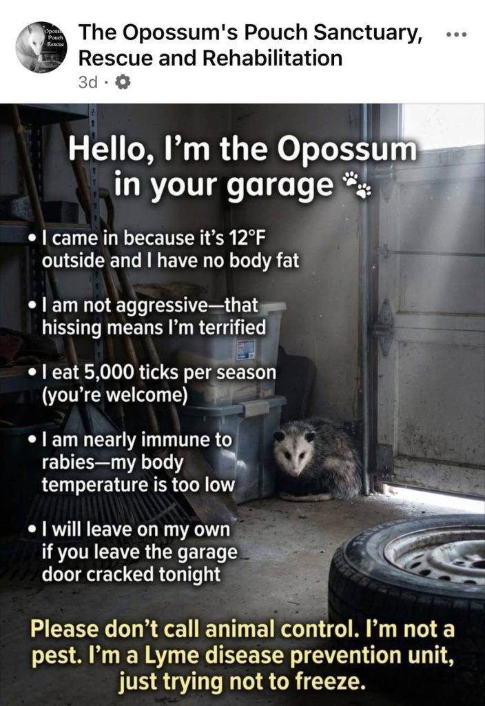 619896828 10164882014255961 3186161724416540256 n.jpg