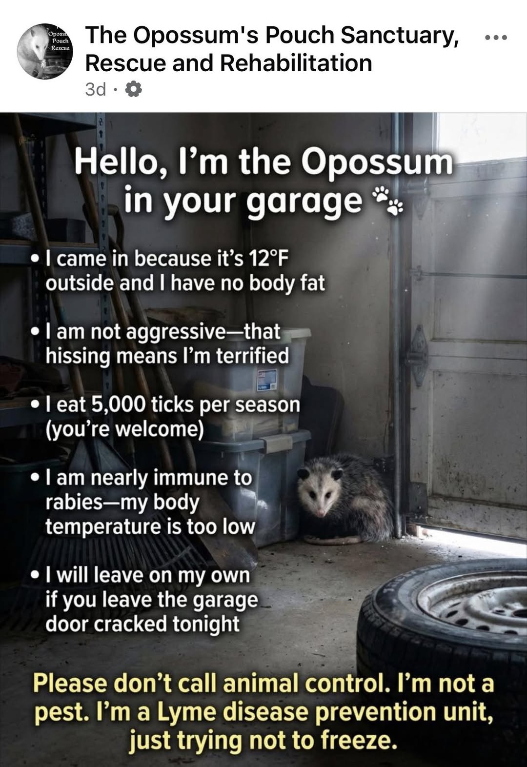 619896828 10164882014255961 3186161724416540256 n.jpg