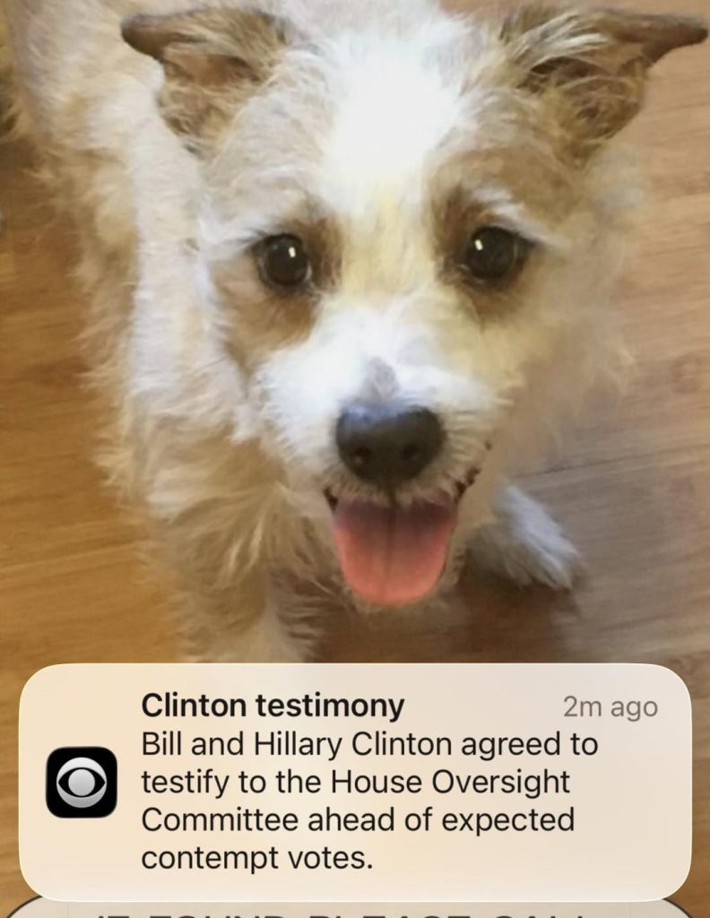 624955171 10164933778800961 1289343440430222404 n.jpg