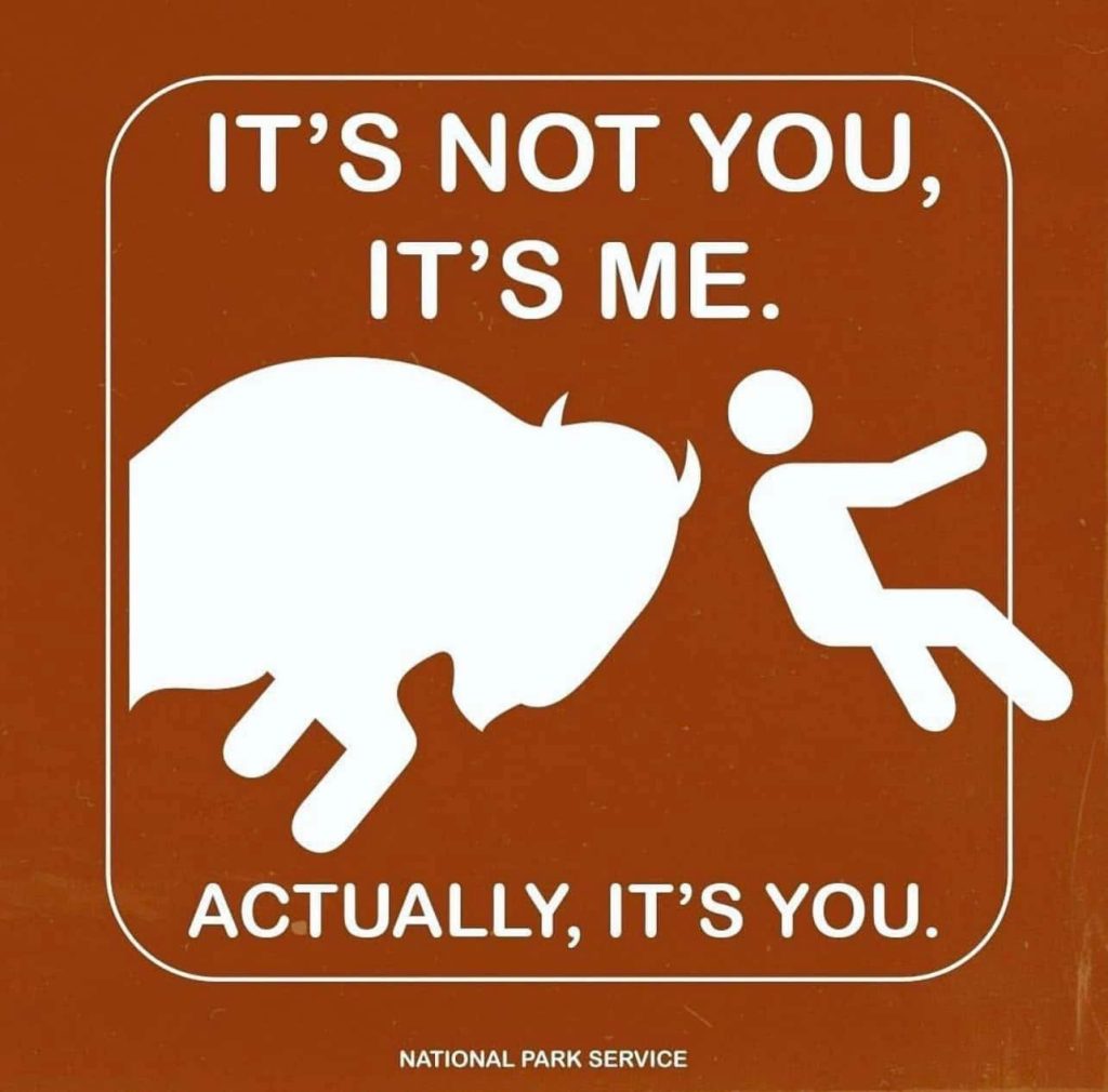 633778844 1328813895955466 4918015314495240925 n.jpg